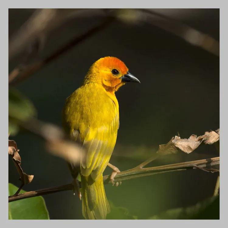 你认识吗丁啉,你认识吗