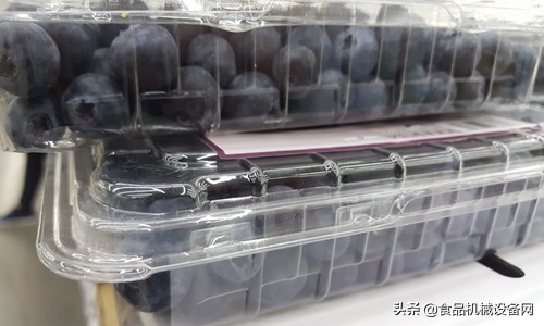 新技术为蓝莓产业提质增效,科技引领马铃薯高质量发展