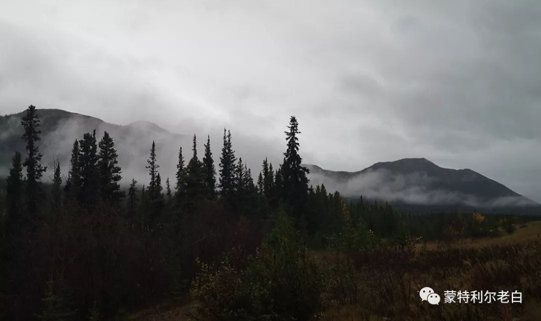 跟着老白行走加拿大，育空Watson Lake、BC省Northern Rockies