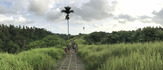 在乌布打个盹然后去吉利岛撒欢