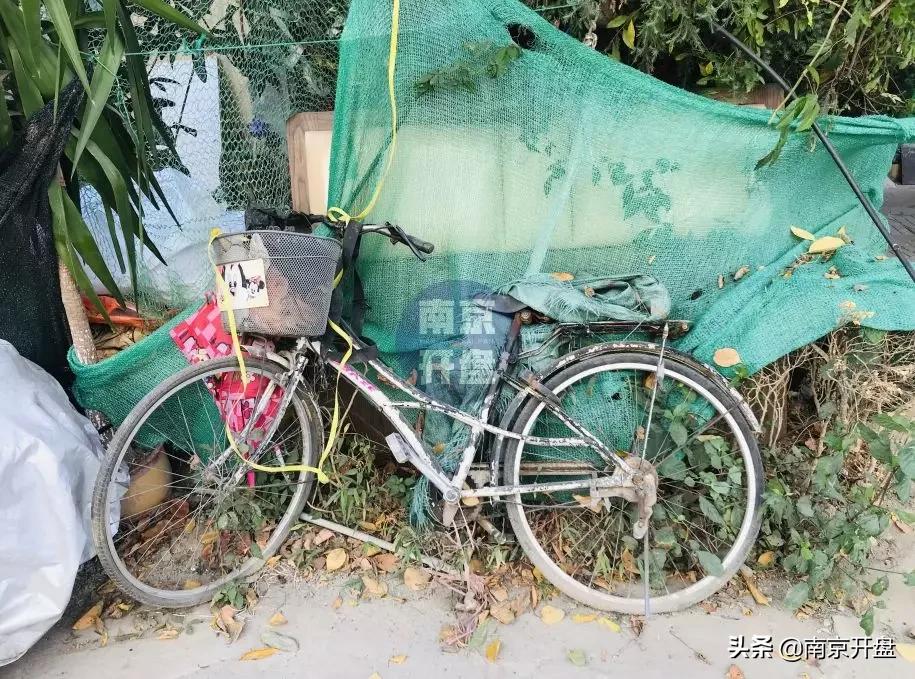 假山里住人！物业不作为，南京超级大盘终于要换物业了