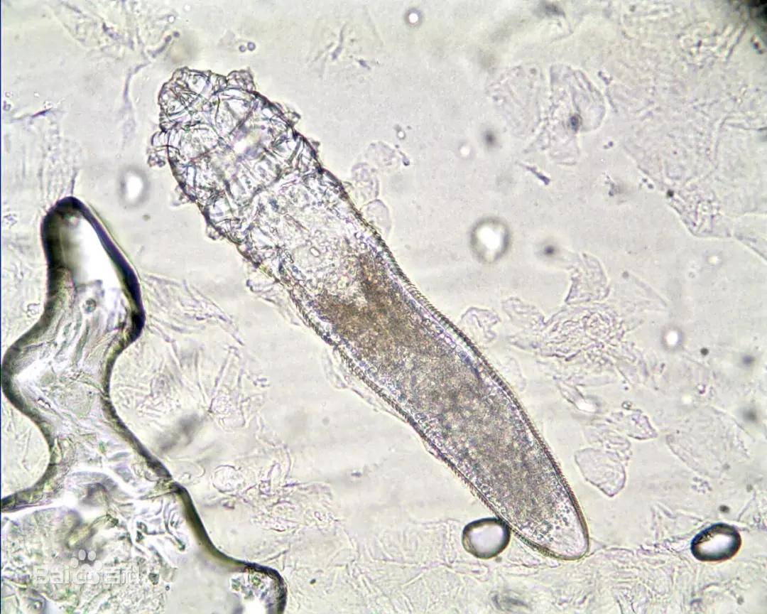 成人床品哪种好,夫妻用什么样的床品最好
