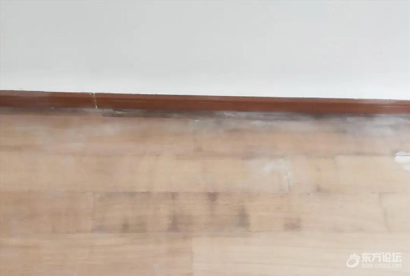 业主新房还没交付就住了工人,毛坯房为什么被业主强行入住