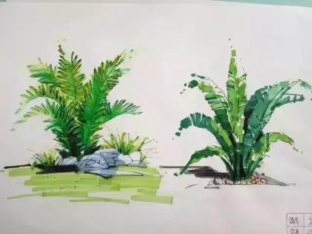 干货马克笔使用终极技巧,马克笔干货教学