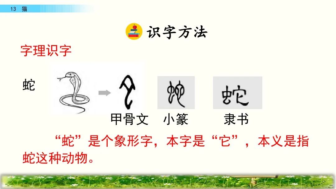 四年级下册语文13课猫课文解析,部编版四年级下册13猫教学视频