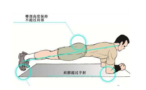 平板支撑21天时间计划图片,每天做一分钟平板支撑有什么变化