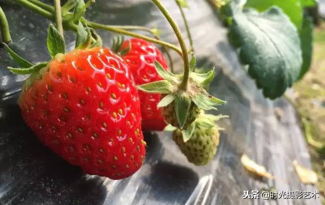 手机摄影人像创意作品教程,手机拍摄光影的艺术教程