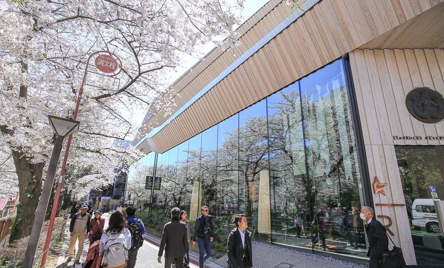 东京｜堪比艺术馆的星巴克臻选®烘培工坊樱花海中品满分咖啡