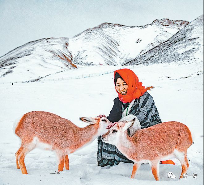 人民日报好看的图片,快看人民日报