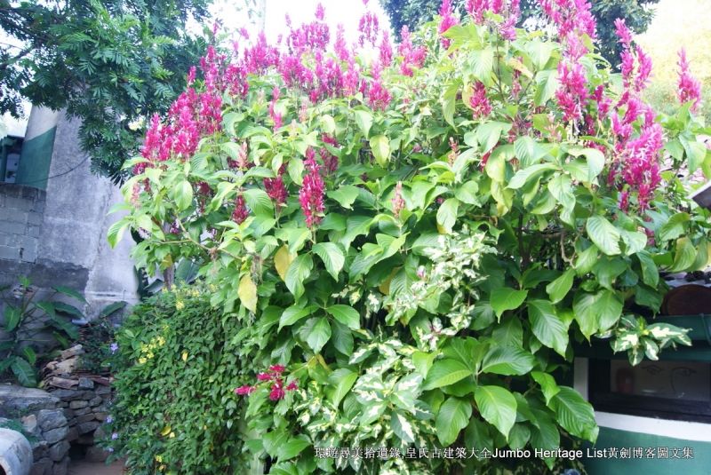 第1360回：丹布勒久旱逢甘露，亚当峰它乡遇故知