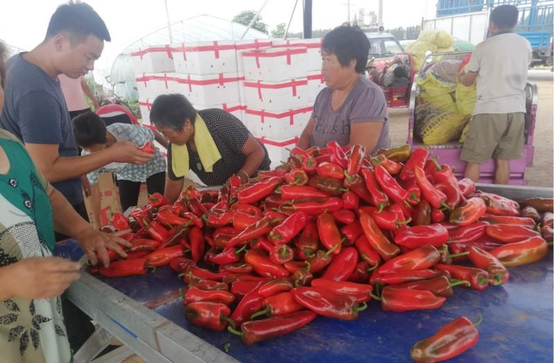 杞县幸福一生,杞县幸福一生视频