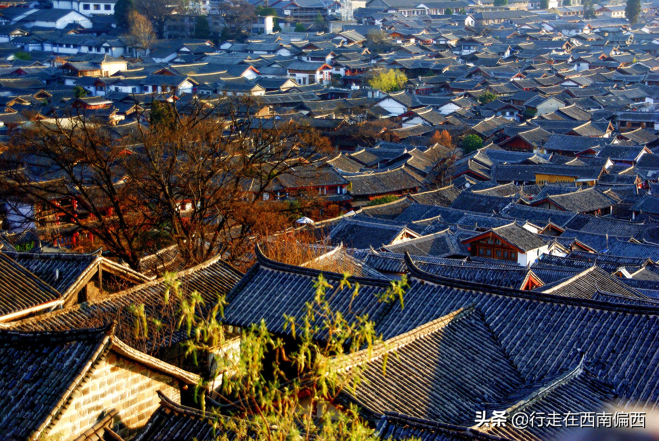 丽江十年变化总结,十年丽江