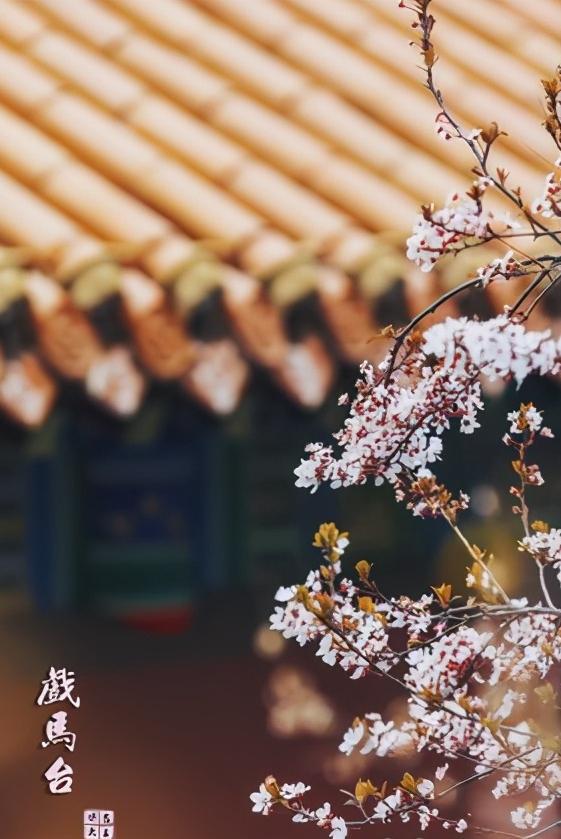 江苏省徐州市市级行政区是哪里,江苏省徐州市有哪个区