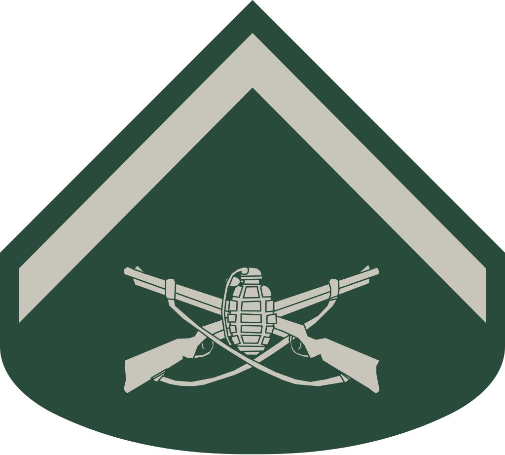 巴西军队标志,巴西海军军衔