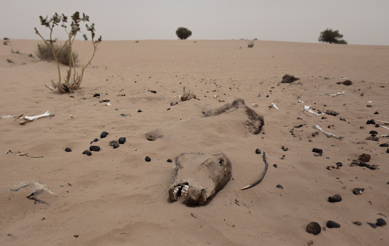 十个世界上最危险的禁区,世界五大公认生命禁区