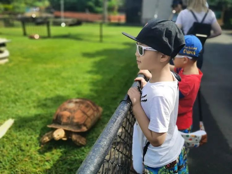 到夏威夷留学,度假突变在哪下