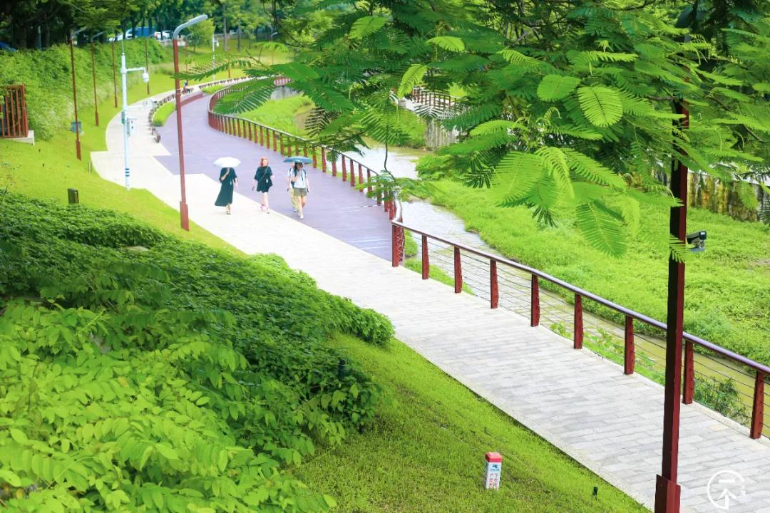 塘朗租房贵吗,西丽塘朗房租