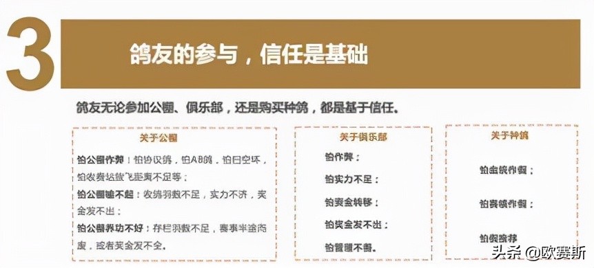 第八届超级品牌日,超级品牌日