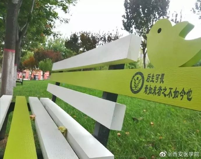 西安三大巨头,西安三巨头学校