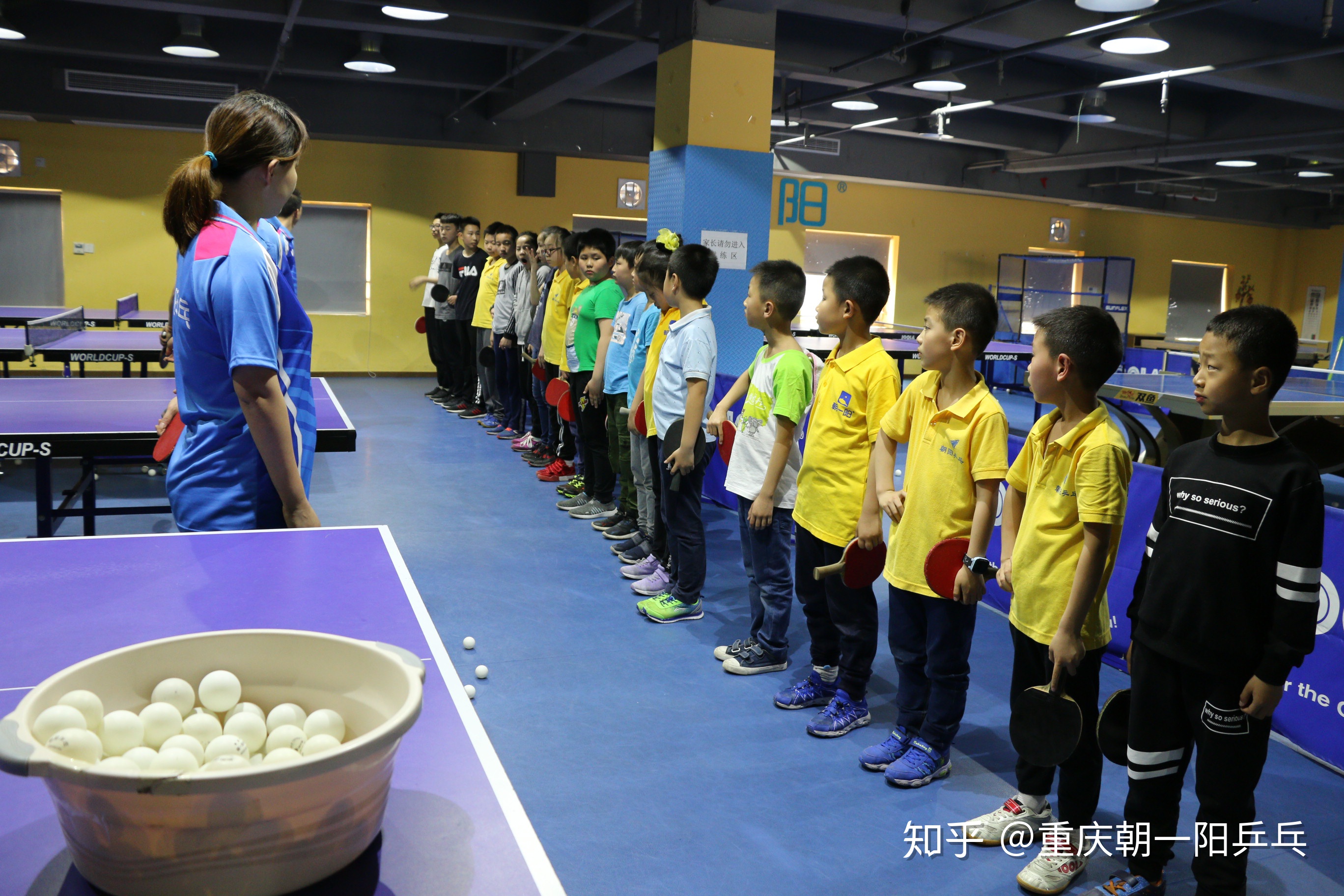 业余乒乓视频,乒乓球漫谈