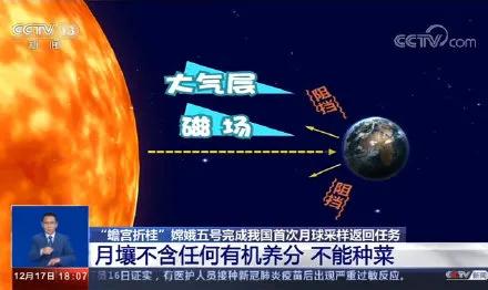 中国的种菜天赋要多离谱,中国种菜天赋惊呆外国人解说