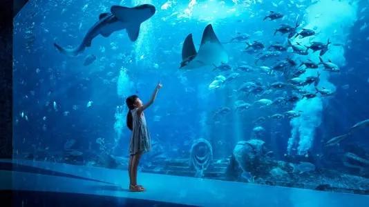 让你无法抗拒的海南究竟好在哪里,海南真正值得一看的地方