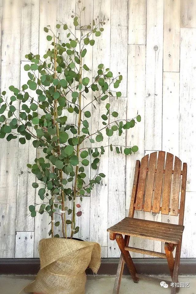 大地的恩赐图片,大地的馈赠是大天域吗