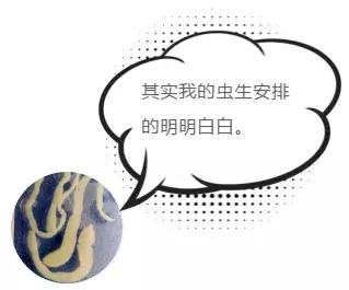 28岁小伙癫痫16年，脑子被虫吃了！竟是爸爸给他吃这个珍稀“大补”！