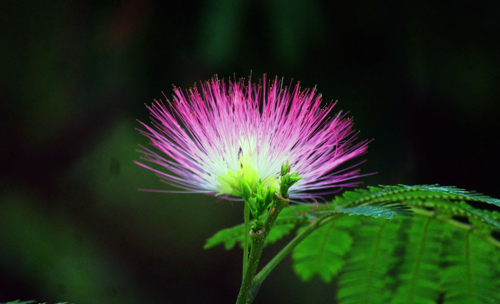 如何防止身边人嫉妒你,被人嫉妒了害你怎么办