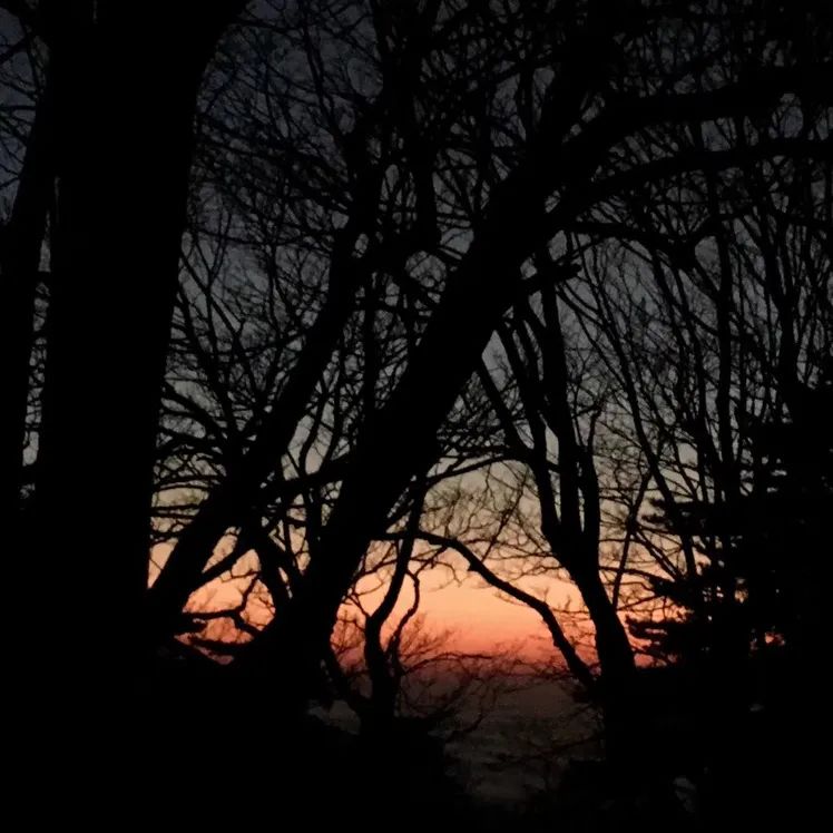 抖音做完酒店,又开始做旅行社“*梦春**”