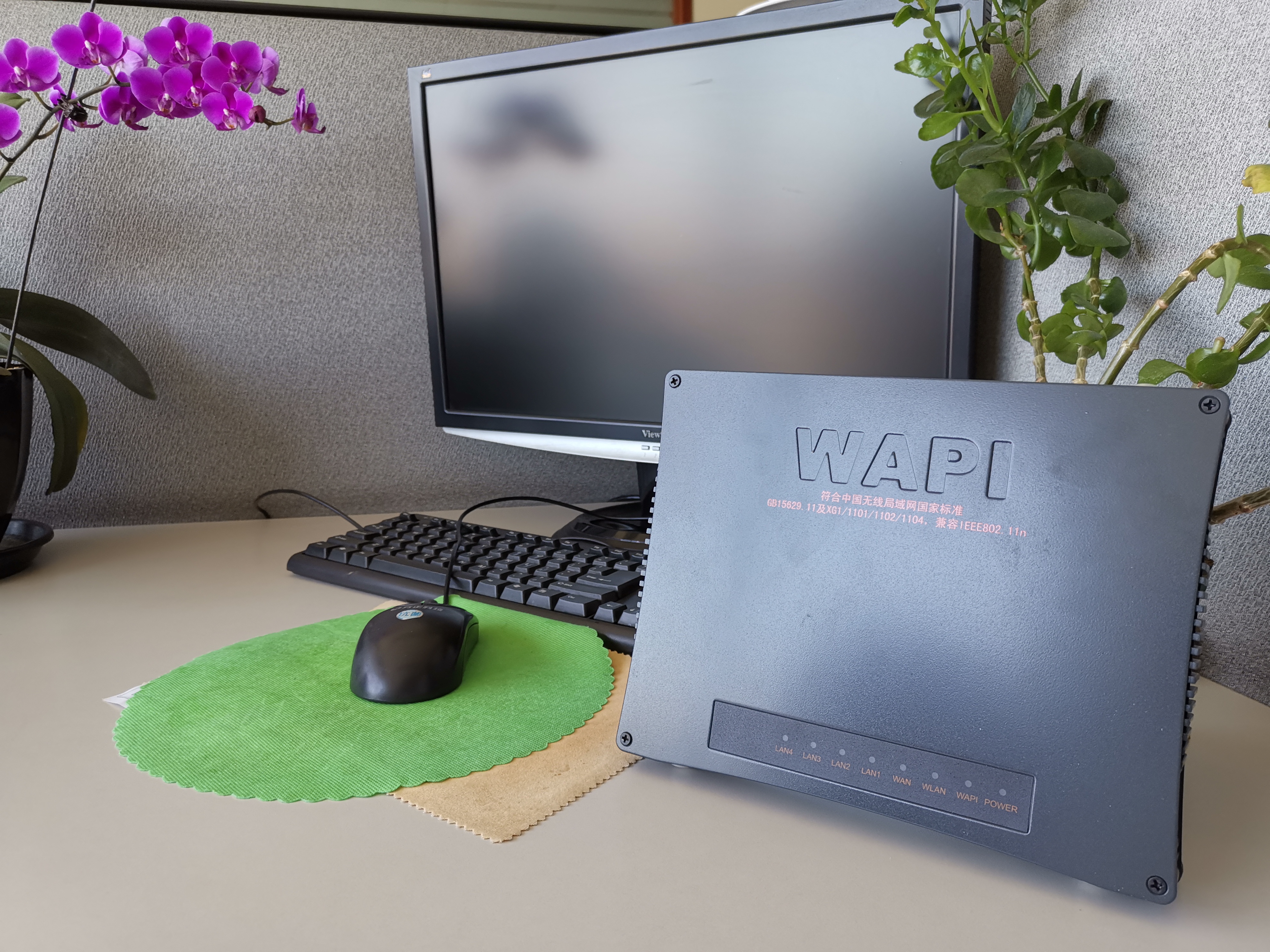 WAPI是什么意思,wapi的含义