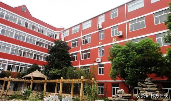 上海小学到高中的学校排名,上海最好的小学排名前十