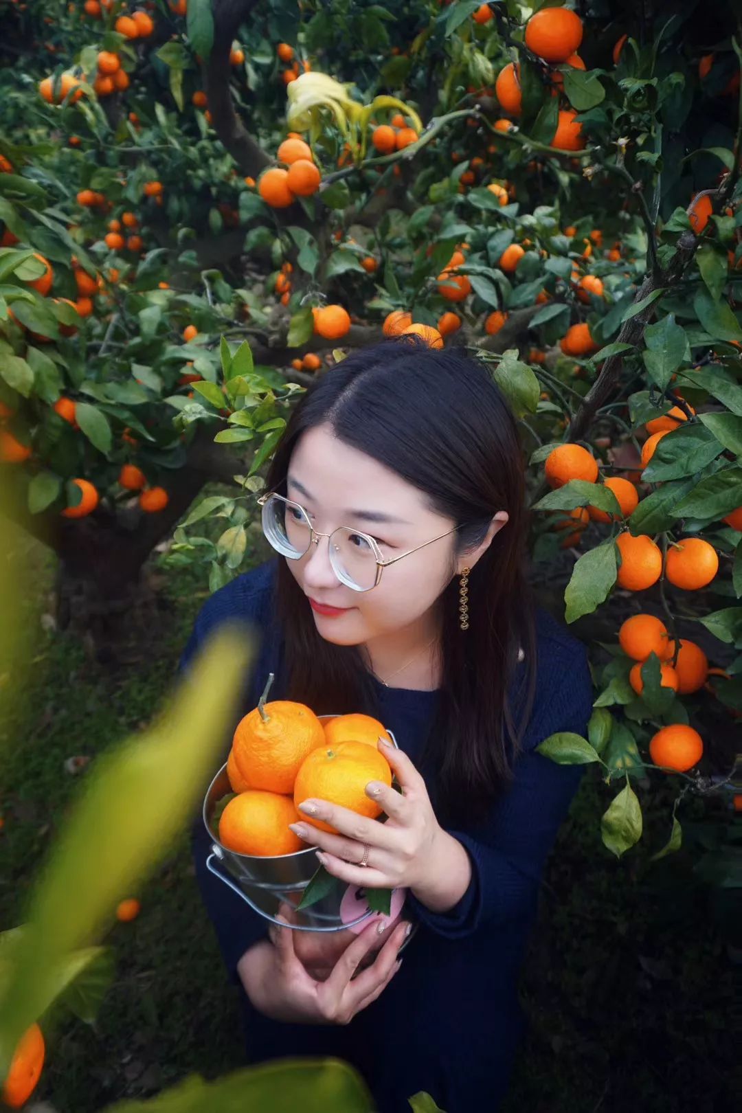 西安直飞1h,西安出发三日游冬季高铁