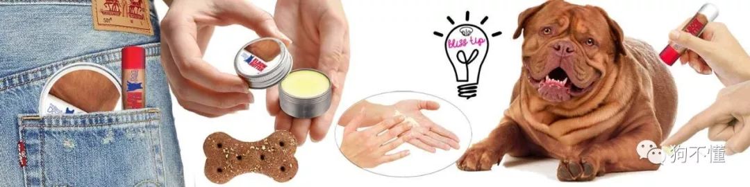 狗腿上有癣自己会好吗,狗腿上有白毛有什么说法