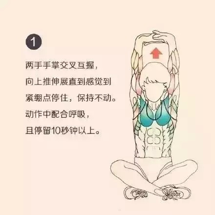 健身放松肌肉按摩棒教学,全身肌肉放松训练方法