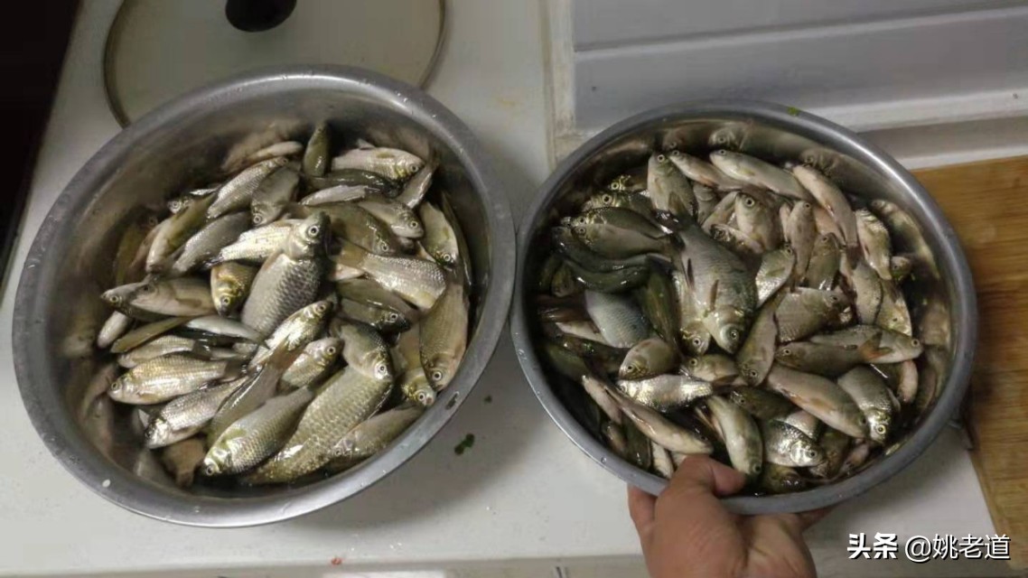 老者执仗“伊豆”，少年清风两“袖”！从用钩习惯看垂钓观念差异