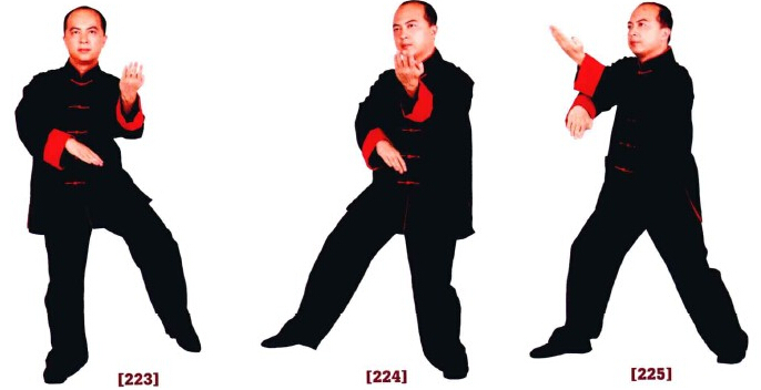 咏春拳标指教学视频,咏春拳低膀手法