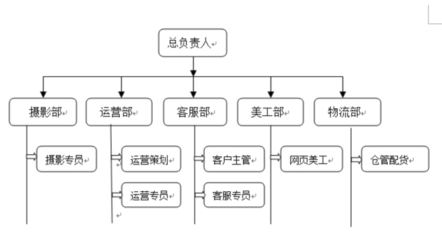 社交电商运营模式开题报告,社交电商软件开发
