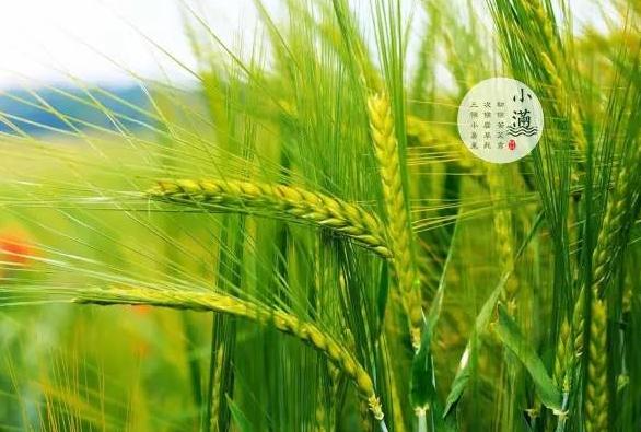 名膜壹号七天面膜使用顺序,名膜壹号七天急救面膜第二代