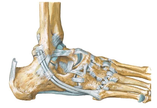 膝盖半月板损伤三年了还能自愈吗,内侧半月板后角损伤2-3级能自愈