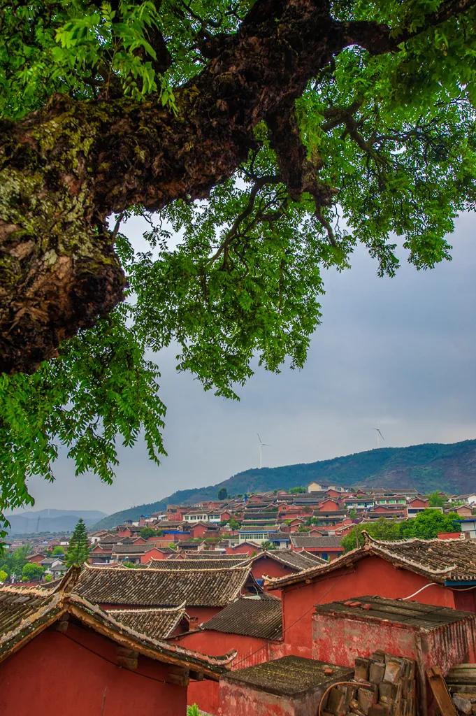 2024攀枝花旅游,攀枝花旅行榜单