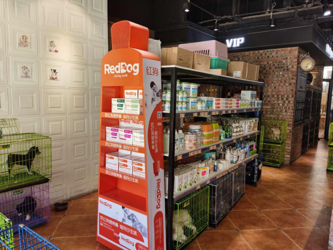 北京宠物店月流水,北京开宠物猫店渠道有哪些