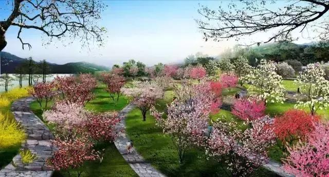 我叫石家庄，这是我2019年最新简历，请多关照！