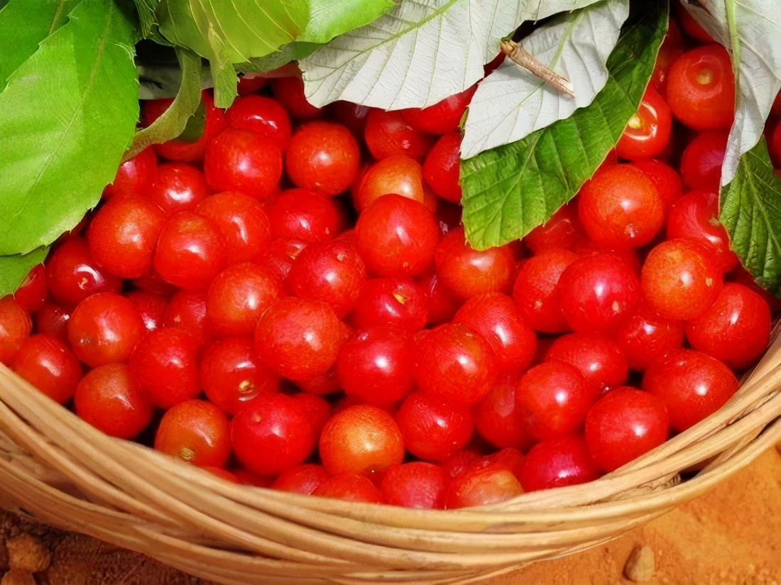 西昌冕宁酒店,冕宁灵山西康温泉酒店