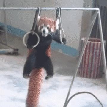 久坐，正在毁掉你的X生活