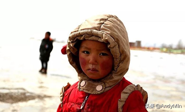 挖10万元1斤的虫草,却买不起一个玩具|高原孩子的残酷童年