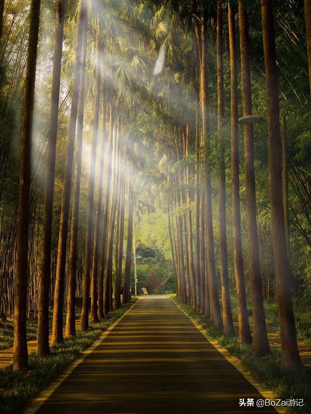 云南西双版纳到文山途经哪些景点,西双版纳适合6-12岁儿童的景点