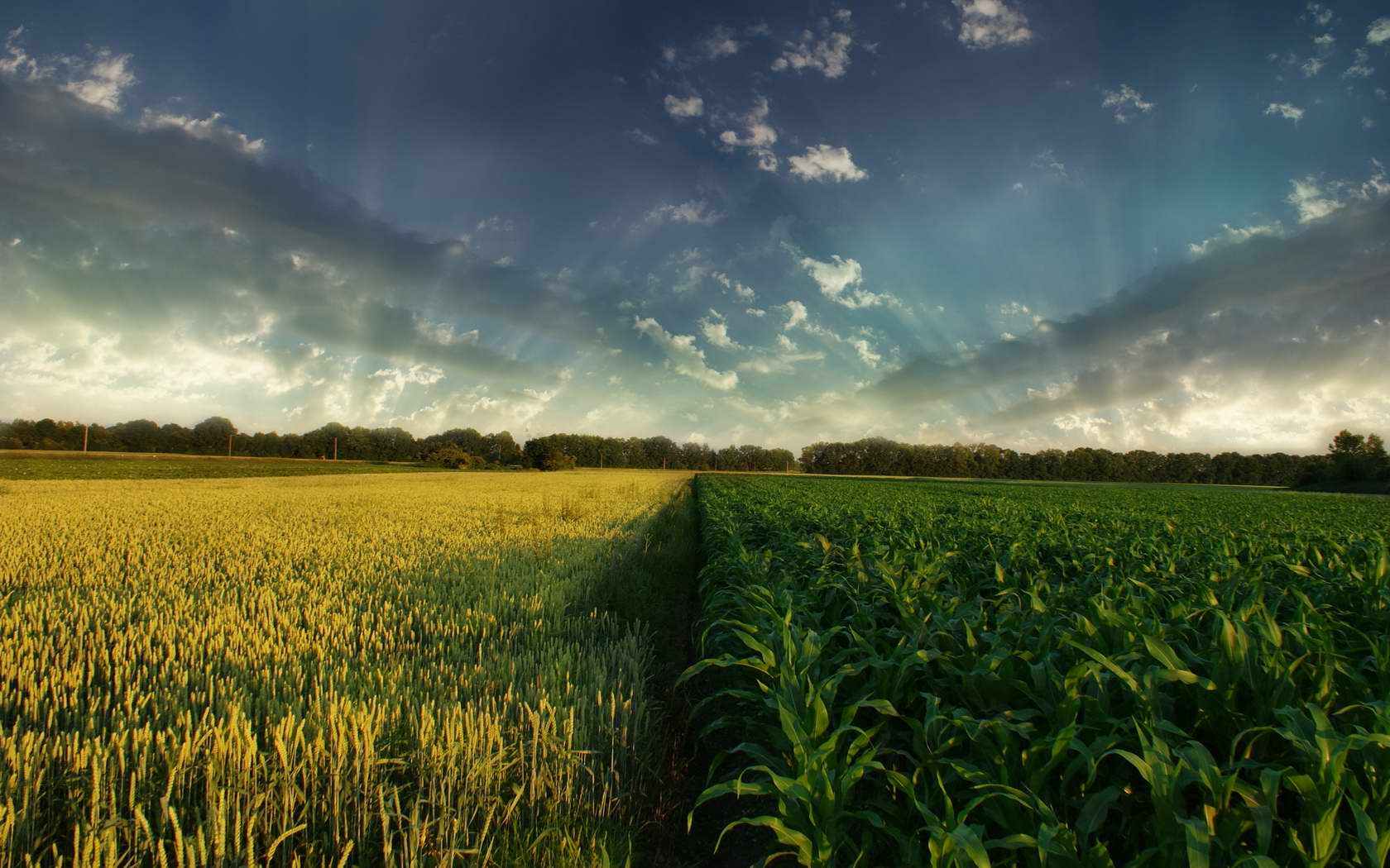 对付小人最好的三个办法,对付小人聪明人是这样做的