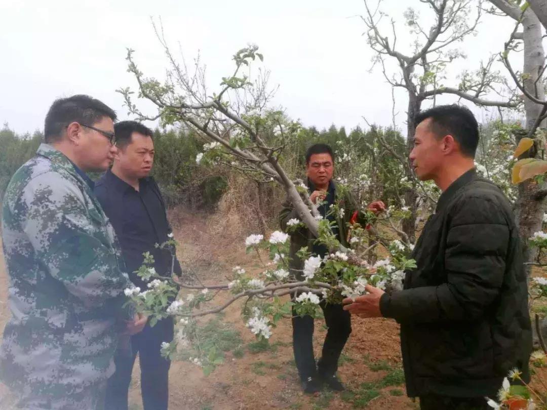 徐记者的扶贫“大文章”