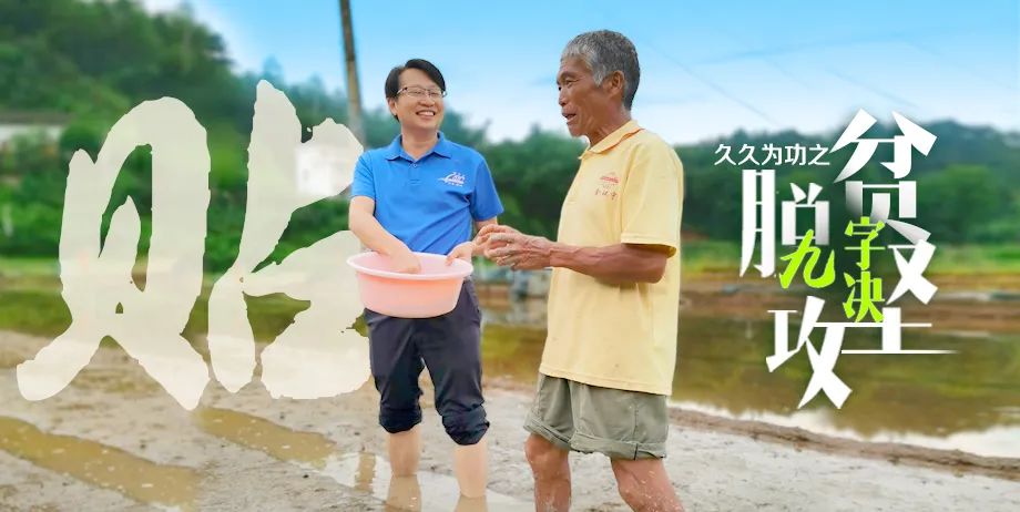 贴贴贴贴贴贴贴贴贴